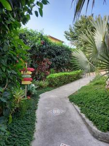 布希奥斯Apartamentos Portal da Ferradura的花园中种有植物和树木的小径