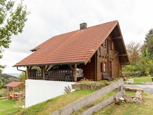 EisfeldChalet in Hinterrod Thuringia with sauna的一间拥有棕色屋顶的小木房子