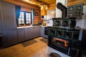 里托斯基挪威克Bosorka Apartments Zrub Mara的厨房配有烤箱及壁炉