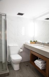 堪培拉Madison Capital Executive Apartments的一间带卫生间、水槽和镜子的浴室