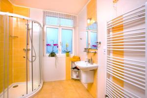 玛丽亚温泉Villa Walir - Spa Hotel Garni SUPERIOR的一间带水槽和淋浴的浴室