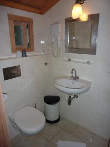 雷讷瑟祖姆奥尔德酒店的一间带卫生间和水槽的浴室