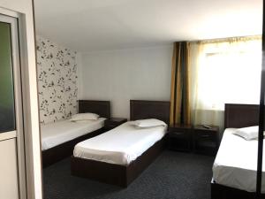 普洛耶什蒂Casa Ardeleană的酒店客房设有两张床和窗户。