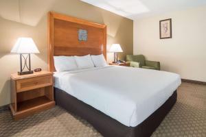 邓肯维尔罗德威酒店的酒店客房带一张大床和一把椅子