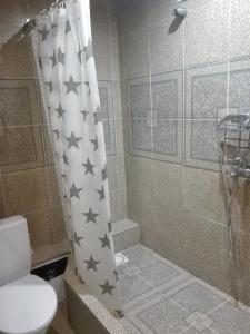 纳尔瓦Rakvere studio的浴室设有星光淋浴帘