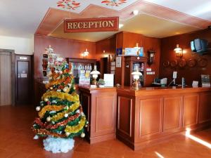 潘波洛沃艾利纳酒店的酒类商店大厅的圣诞树