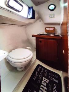 鲁西隆地区卡内Voilier à quai au calme的一间带卫生间和水槽的小浴室