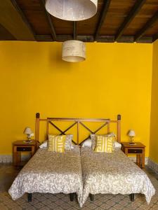布埃纳维斯塔德尔诺尔特Casa emblemática Buenavista del Norte的一间卧室配有一张黄色墙壁的床