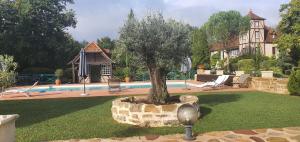 CavagnacMoulin du soustre的院子中一座带游泳池和一棵树的房子