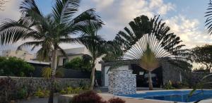 BouchonTibambari的棕榈树别墅和游泳池