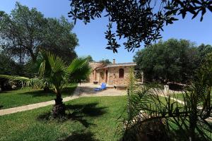 莱乌卡Villa Serena Maria的院子里有棕榈树的房子
