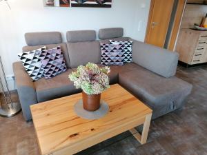 卡普伦Komfort Appartements serviced by Auhof的带沙发和咖啡桌的客厅