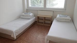 利托梅日采Ubytovna Koupaliště的小房间设有两张床和窗户