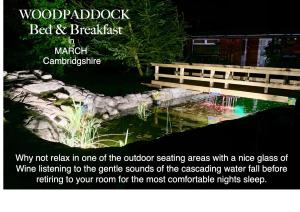 马奇树林围场住宿加早餐旅馆的一个带池塘和长凳的花园广告