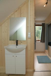 EnscherangeBasic vakantiehuisje op val d'Or的一间带水槽和镜子的浴室