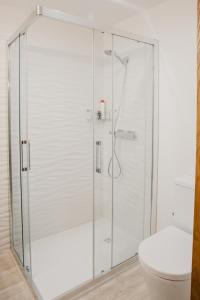 阿尔彭斯Apartaments Rurals Cala Palmira的带卫生间的浴室内的玻璃淋浴间