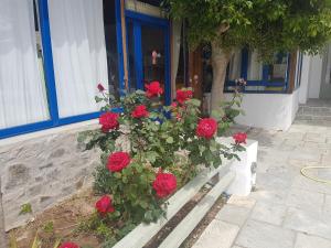 塞里福斯ISALOS ROOMS ON THE BEACH的大楼前的红玫瑰长凳