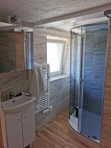巴特萨尔茨代特富特Zimmervervietung Bei Lachajczyk的一间带水槽和玻璃淋浴的浴室