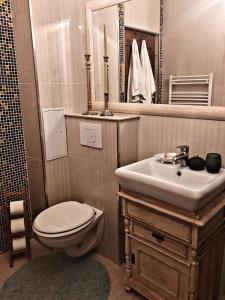 克卢日-纳波卡Vintage touch apartment的一间带水槽、卫生间和镜子的浴室