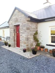 利敦瓦纳Liams Cottage between Doolin and Lisdoonvarna的石屋,有红门和盆栽植物