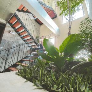 洞海Cagina Boutique Hostel的一座植物繁茂的建筑中的楼梯