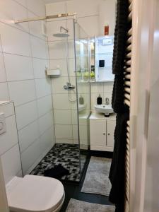 威廉港Fewo-Alter的带淋浴和卫生间的浴室
