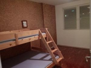 普罗夫迪夫Просторен и добре обзаведен апартамент Oborishte 39 str的一间卧室配有带梯子的双层床