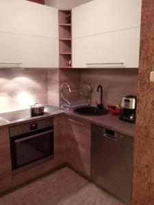 普罗夫迪夫Просторен и добре обзаведен апартамент Oborishte 39 str的厨房配有水槽和炉灶 顶部烤箱