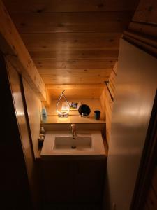 卡拉维塔Chalet in the Forest的客房内的小浴室设有水槽