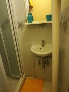 BohuniceApartment Oltec的一间带水槽和淋浴的小浴室