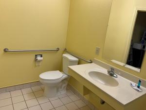 都柏林雷拉克丝套房汽车旅馆的一间带卫生间、水槽和镜子的浴室