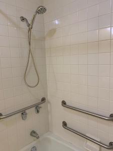 都柏林雷拉克丝套房汽车旅馆的带淋浴和浴缸的浴室