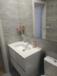 扎马亚Acogedor apartamento en Zumaia的一间带水槽、镜子和卫生间的浴室