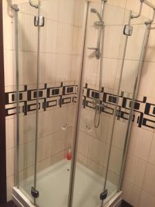 日托米尔hotel ON的浴室里设有玻璃门淋浴