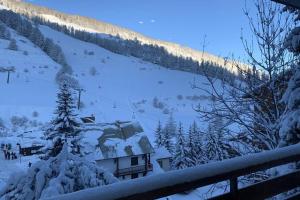瓦尔Appartement Vars Sainte Marie 6 personnes的雪覆盖的山间滑雪小屋