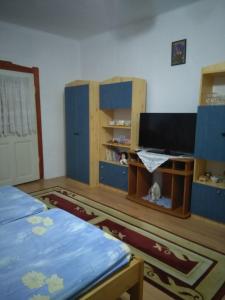 奥巴曹洛克Rózsa vendégház的客房设有两张床、一台电视和一张书桌。