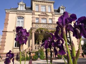 科尔马Castelnau的一座在前面布满紫色花的建筑