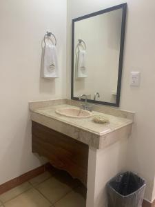 普埃布拉Hotel Arbis的一间带水槽和镜子的浴室