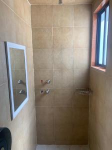 普埃布拉Hotel Arbis的带淋浴的浴室和玻璃门