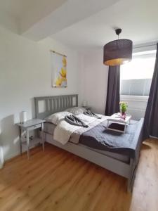 埃姆登Ferienwohnung Seebär的一间卧室配有一张床、一张书桌和一个窗户。