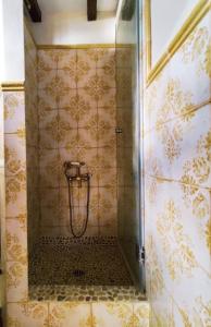 洛斯·亚诺斯·德·阿里丹Casa el Limonero的一间带墙面淋浴的浴室