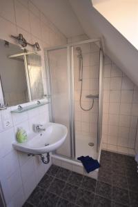 库罗阿尔滕堡Beerenvilla的一间带水槽和淋浴的浴室
