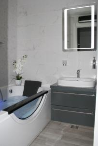 贝尔格莱德Spa Panorama的一间带水槽、卫生间和镜子的浴室
