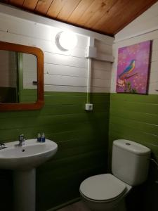 BigastroCamping la Pedrera的绿色浴室设有卫生间和水槽