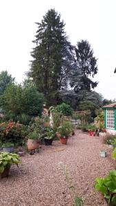 Saint-Pierre-dʼAutilsLe Jardin des Merveilles的种有盆栽植物和树木的花园