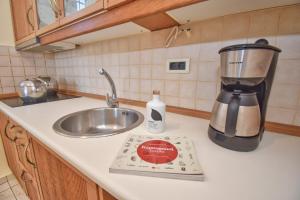 派莱卡斯Corfu Resorts Apartments的厨房柜台配有搅拌机和水槽