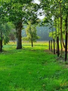 施塔德Ferienwohnungen Unter den Eichen的草地上树木和围栏