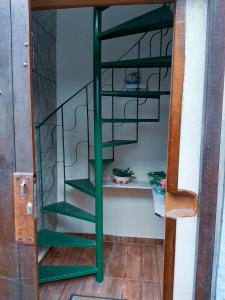阿拉亚尔-杜卡布Suites Oliveira的客房内的绿色螺旋楼梯