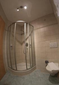 湖滨福煦豪斯海德薇酒店的带淋浴和卫生间的浴室