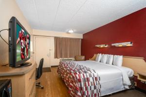 兰霍恩费城红屋顶酒店 - 牛津谷的配有一张床和一台平面电视的酒店客房